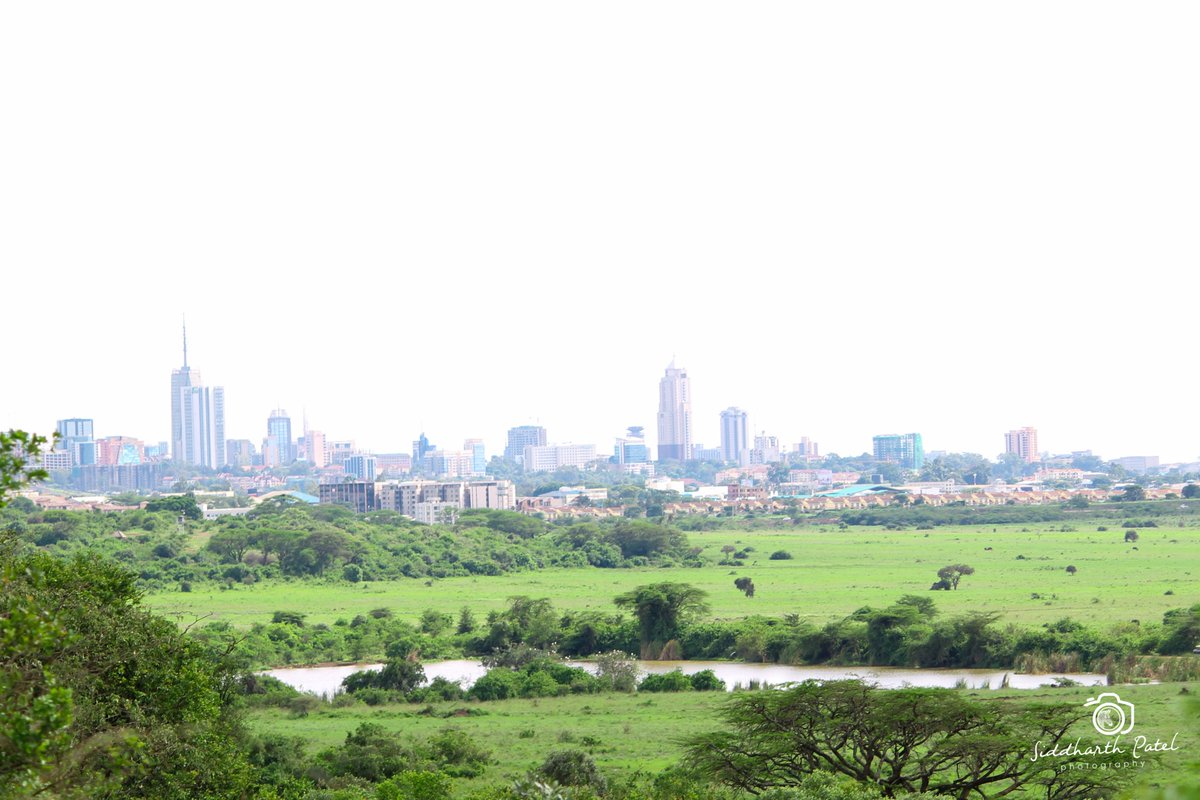 wildlifedirect's tweet photo. This week's #WildlifeWarriors Nature's Treasures Photo Competition theme is "Beauty of Biodiversity".

Capture nature’s treasures near you, send up to 3 photos to info@wildlifedirect.org by tomorrow midnight &amp; stand a chance to win a cash prize.

Photo entry by @SiddharthP1. https://t.co/MI6fiEHqjW