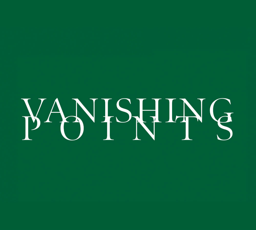 thisisliveart's tweet photo. Very excited to announce that #VanishingPoints, co-published by LADA &amp; @DiverseActions is out! A new anthology of cultural criticism, focusing on the making, watching &amp; conditions of Live Art &amp; performance in the UK today. 

🌿Get a FREE PDF or donate: https://t.co/xQfzulphJx https://t.co/hA9T5eoMka