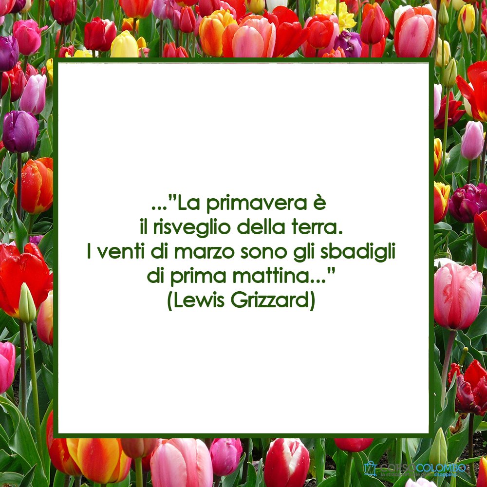 CorsoColombo's tweet photo. La primavera è il risveglio della terra.
I venti di marzo sono gli sbadigli di prima mattina.
(Lewis Grizzard)
.
.
.
#primavera #terra #marzo #march https://t.co/u7Sby84S7x