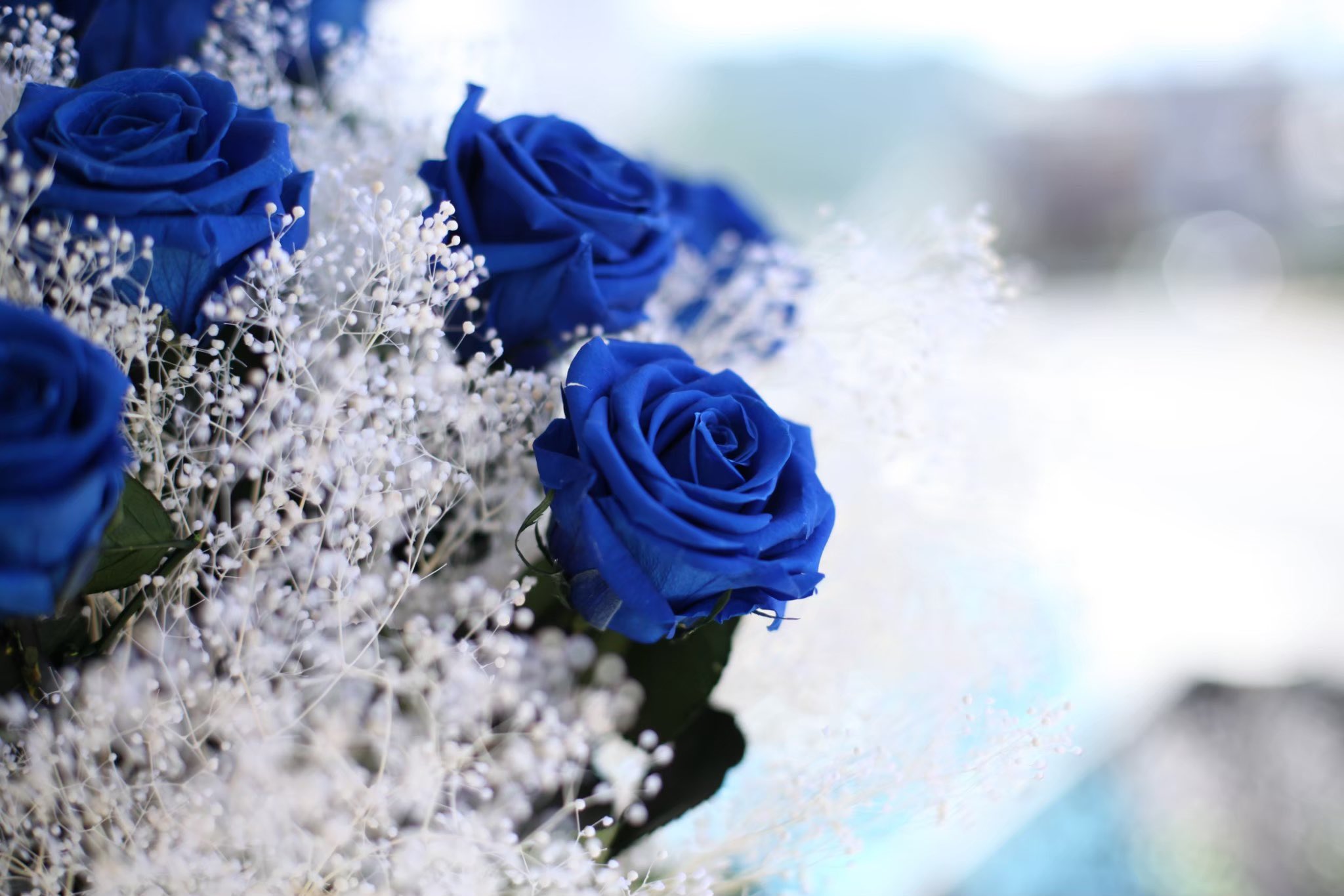 ローズショップ プリザーブドローズの花束 手入れ不要で5年以上鑑賞できる枯れない本物のバラ 青い薔薇の花言葉は 奇跡 T Co D8mkqgdpzi T Co Q9gcs18dln Twitter