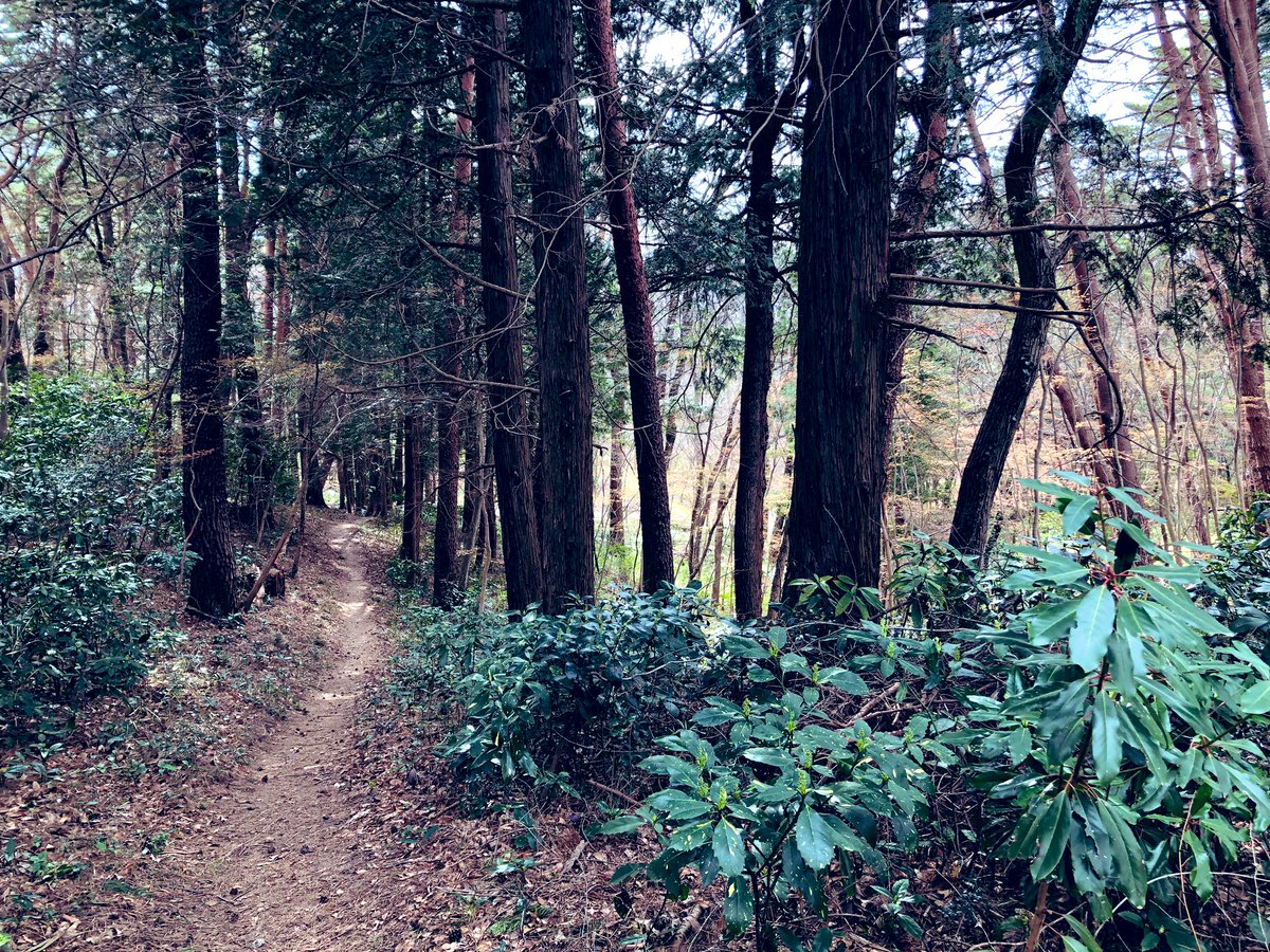 仙台文学館へ行ってきたのですが、台原森林公園という巨大な森を抜けた先に急に前衛的な施設が現れるのがSFっぽくて良かったです。 