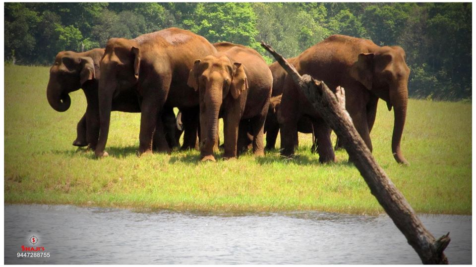 LiveKerala_com's tweet photo. Best hotel in #thekkady Woodnote is just perfect for those who wish to experience nature at its very best – raw, untamed and beautiful. The hotel is well located, offers superb well-appointed rooms with all modern amenities to make your holiday at Thekkady the most enjoyable one. https://t.co/LCsXraOKG4