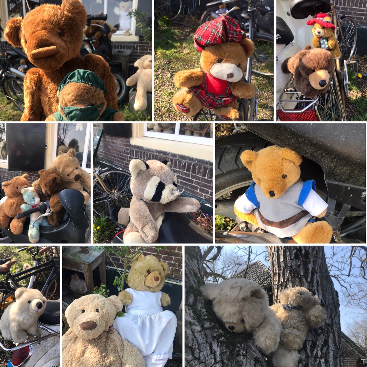 visioncc's tweet image. OMG all bears are going outside.. #berenjacht #1,5meter?!! Geldt dat ook voor beren ?