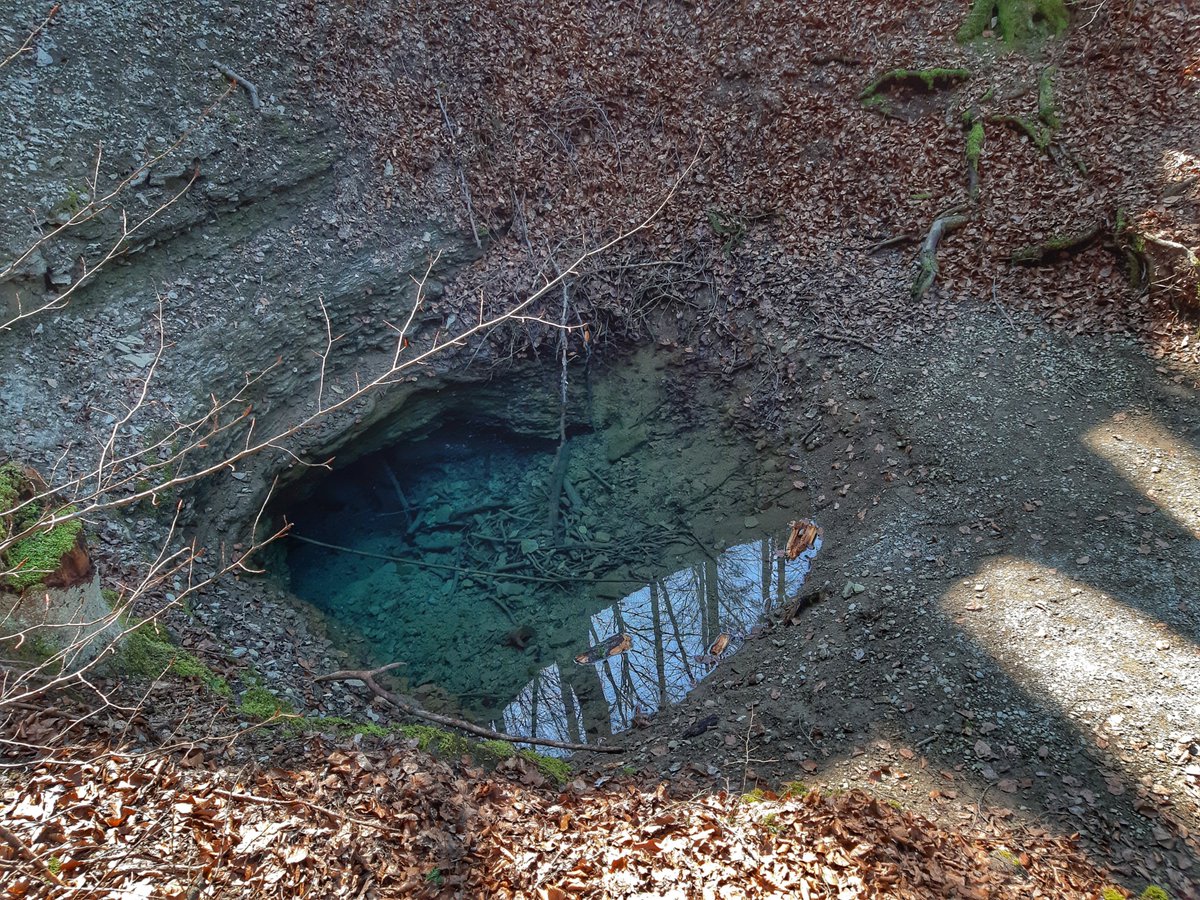capilatus's tweet photo. Licht und #Schatten #Armlöcher bei #Utendorf #Südthüringen #Natur https://t.co/zEzvXQA8Kp