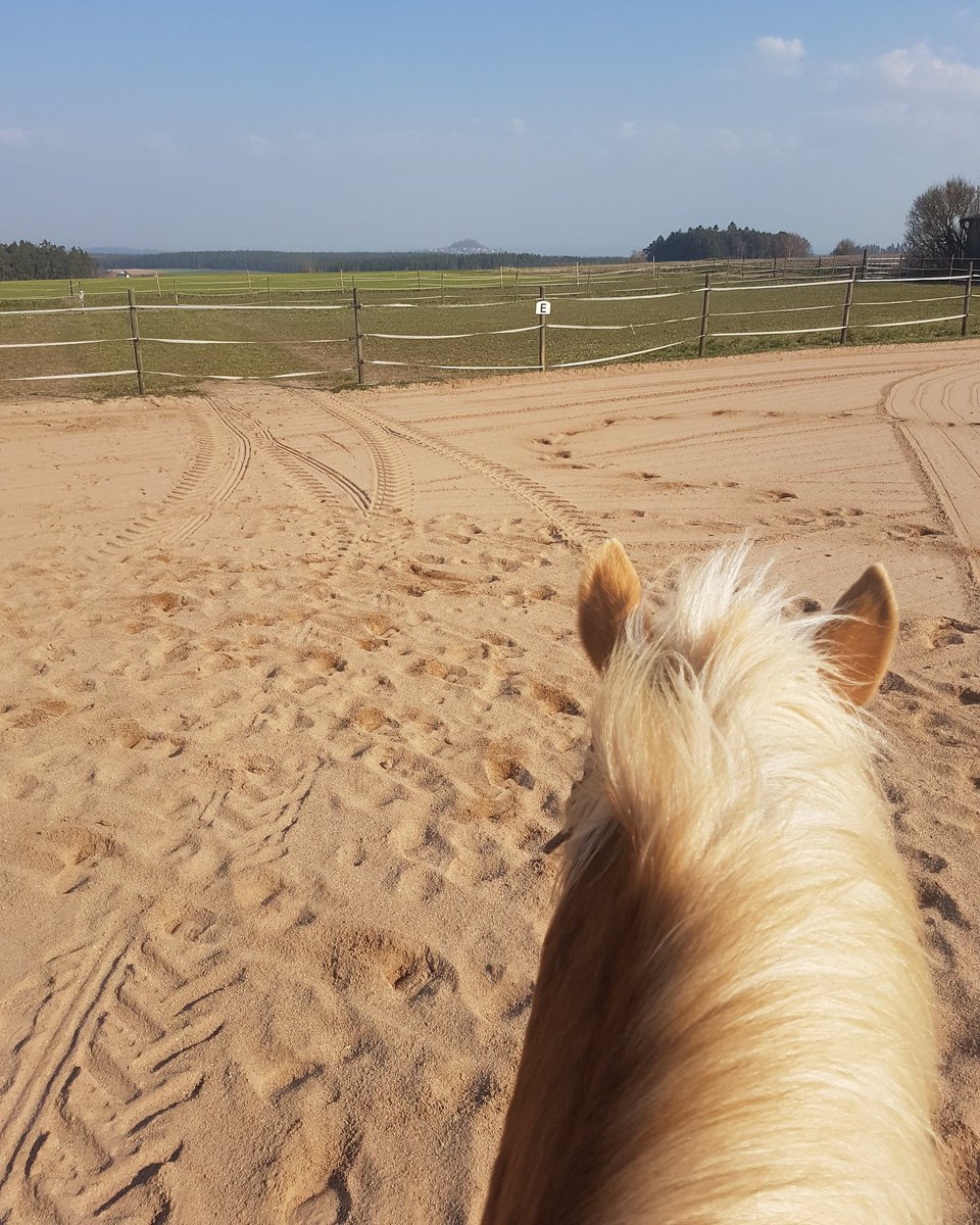 PerformanceVF's tweet image. Courage is being scared to death but saddling up anyway. (John Wayne)

#horsebackriding #stayhome #stayhealthy #BackToWork