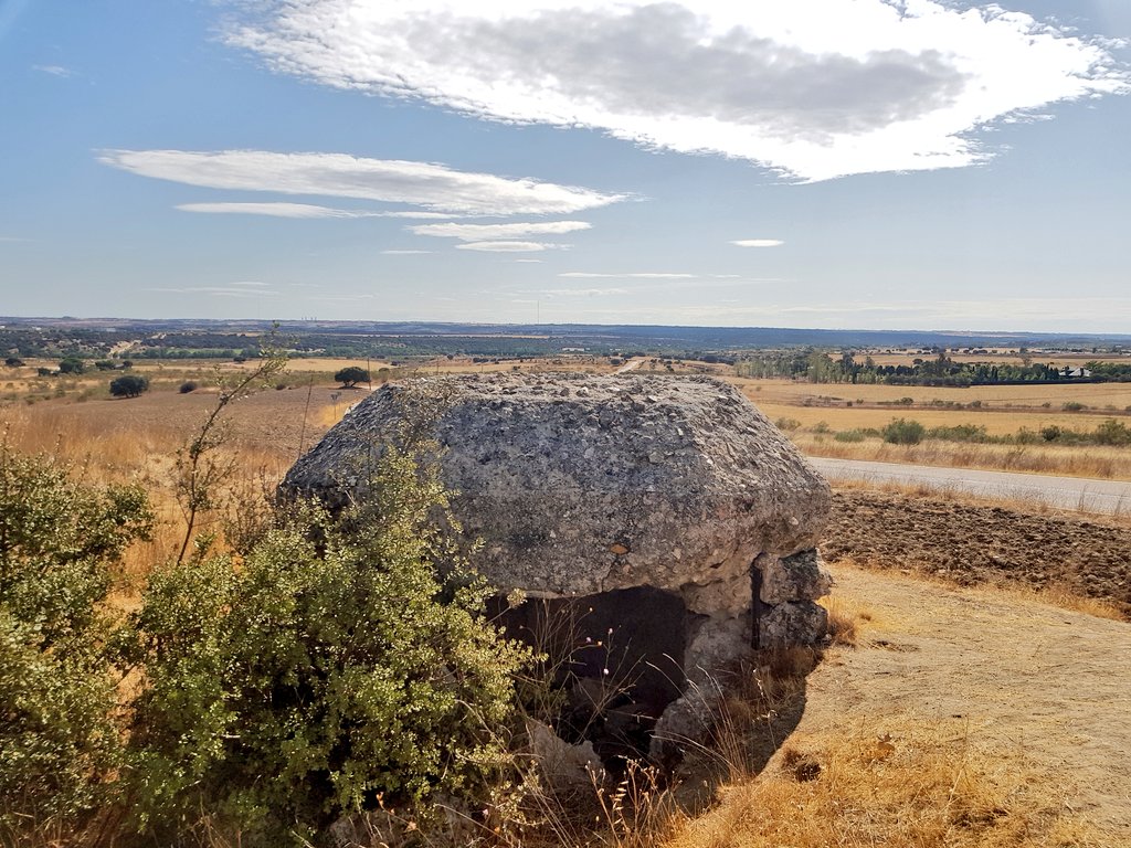 Daily walk done. 
Back to the #SpanishCivilWar & today's chapter - #Brunete, July 1937.
V. interesting take & well written.
I really like the quoted personal accounts.

I visited Brunete last year on a #battlefieldstudy.

#MilitaryHistory #stayinghome #booklover