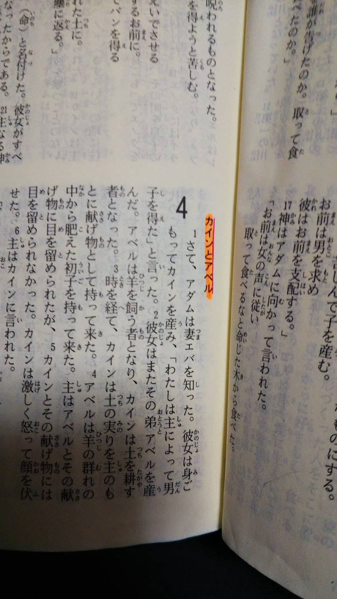 梨 なし Pa Twitter 国語辞典でエロ単語をチェックしてマーカーする奴 というのが今もいるのか知らないが 私は高校時代 聖書でゼノギアス関連の単語を探してマーカーする奴 でした