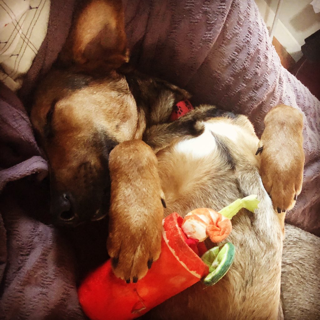 QuiteFetching17's tweet photo. When it’s a Saturday morning during quarantine &amp; you grab yourself a Bloody Mary and head back to bed #mommywantsonetoo https://t.co/iwrRHP69CP