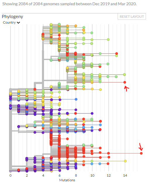 First, we see *no evidence* that this CFR difference is explained by 'different viruses'. The samples we have are actually remarkably similar - max of ~30 differences out of >29,000 bases between two samples!3/10