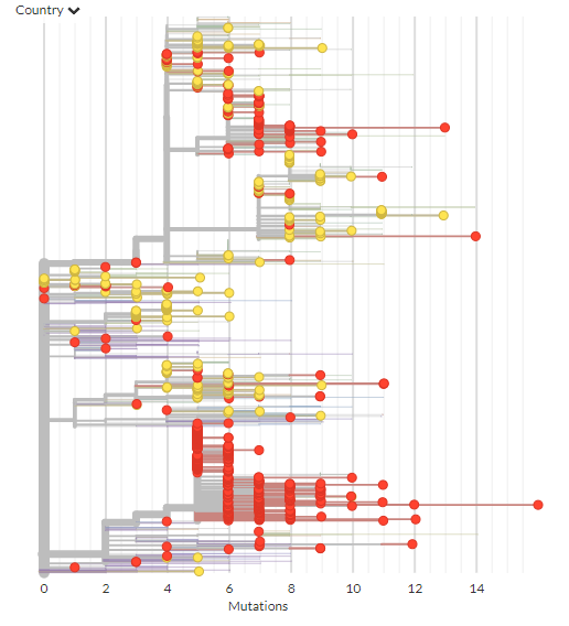 Also, these samples are *very well mixed* - almost every country has samples from every type of diversity circulating!Samples from USA (red) & UK (yellw) intermix. Many countries are like this. Tight clusters are related only to intense sampling in some place (Washington)4/10