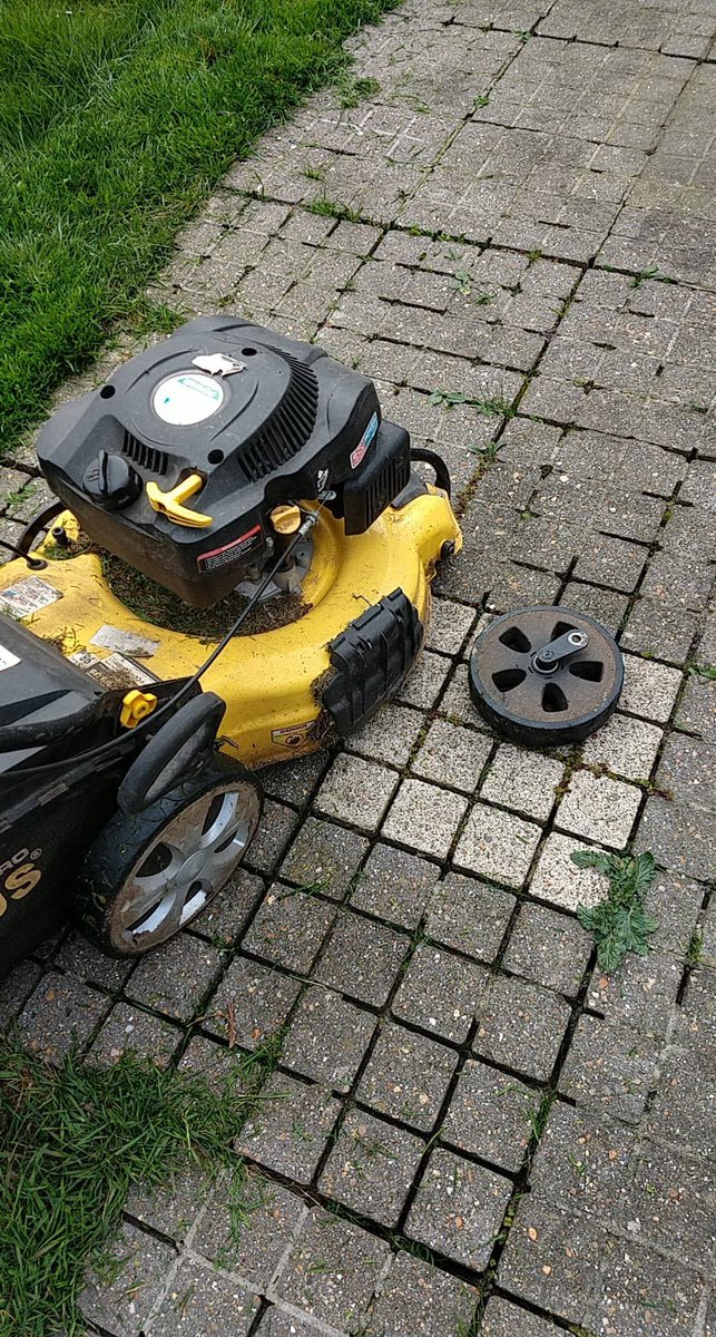 simit's tweet image. Na de eerste kat met corona is er nu ook een grasmachine die het zitten heeft...