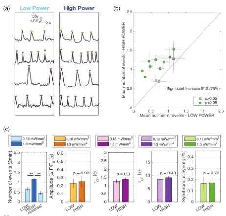 Opto-non-genetic control of neural activity mlphotonics.wordpress.com/2020/03/28/opt…
