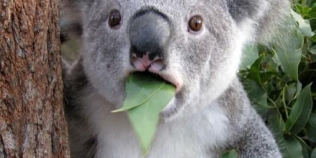 Nicht vergessen - heute Nacht werden die Uhren umgestellt! Ihr habt eine Stunde weniger. #Sommerzeit #Zeitumstellung #DaylightSavingTime