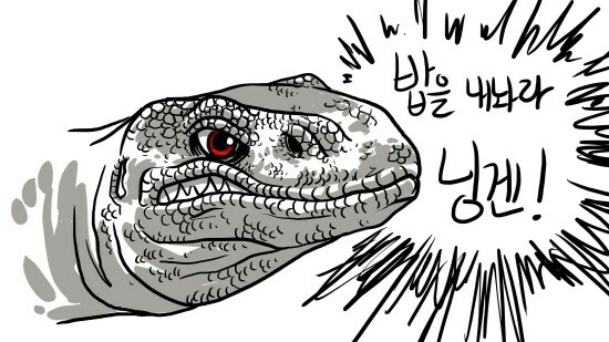 Lova5dXUIDumAo2's tweet photo. 사바나 모니터가 배고프나?밥은 안 줄꺼얔ㅋ https://t.co/IruPdXywOo