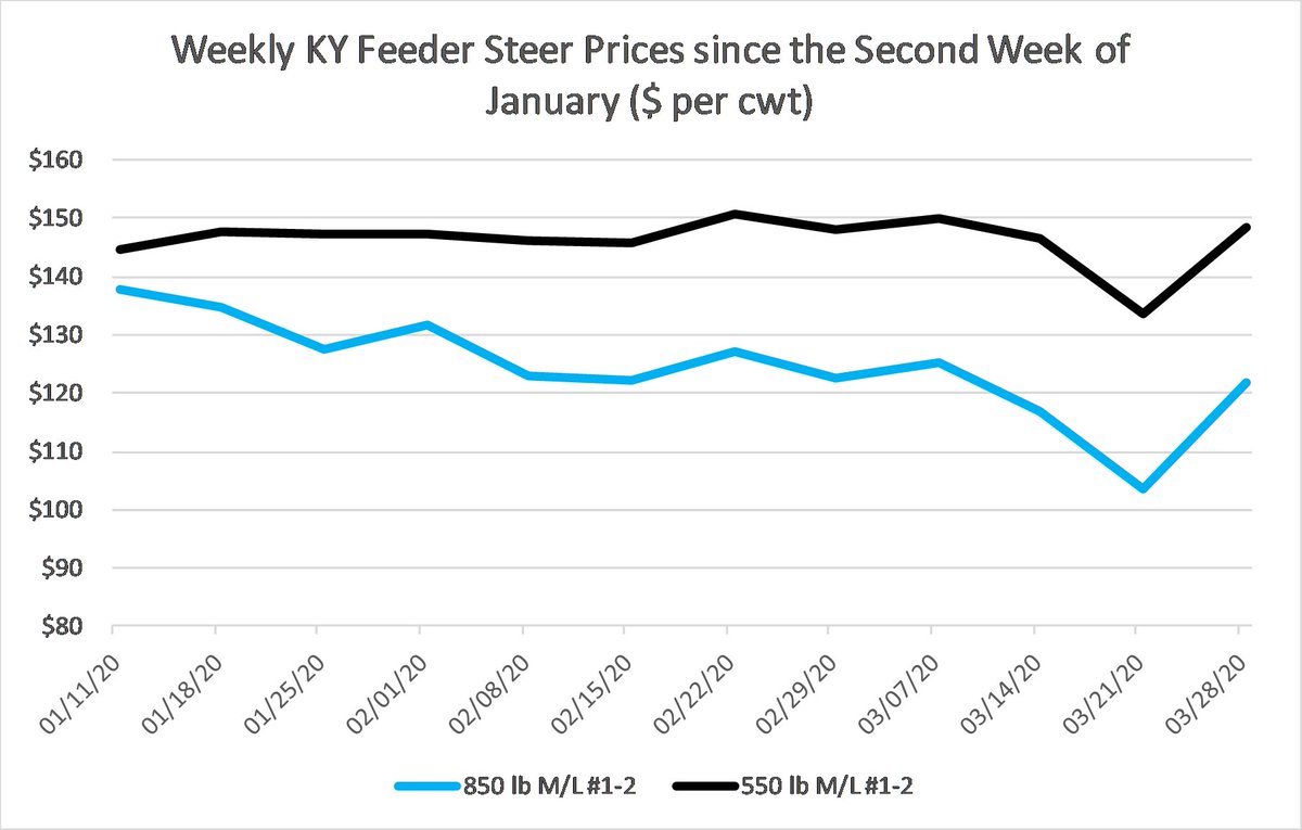 KYCattleEcon's tweet photo. Unbelievable volatility in cattle prices the last 4 weeks! Big swings from day-to-day can make weekly data suspect, but @USDA_AMS price data from KY auctions showed huge improvement this week. Sustaining these levels next week is probably unlikely. #KYCattleMarkets https://t.co/ZjjRjPMRee