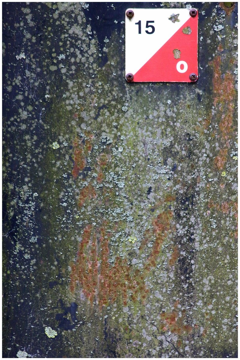 ArtNHodgkinson's tweet photo. More from todays texture spots #texturehuntergatherer #lookup #photography #textures noticing details often missed #siskind https://t.co/squ9iS8qck