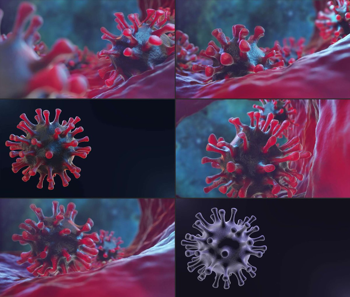 Some of our recent #virus 3d Animation stock footage collection <a href="/pond5/">pond5</a> 
bit.ly/2QQJW52