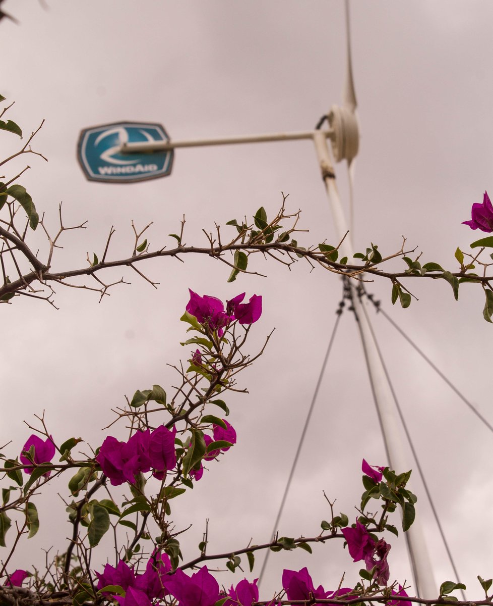WindAid's tweet photo. Let's look on the bright side 🌸🌸 
#tbt 📍 Playa Blanca, Sechura.
.
.
We stop this virus together ➡️ #yomequedoencasa #LightUpALife 🔌💡
.
#WindAidstayshome #Windaidsequedaencasa https://t.co/BYInQ60hCH