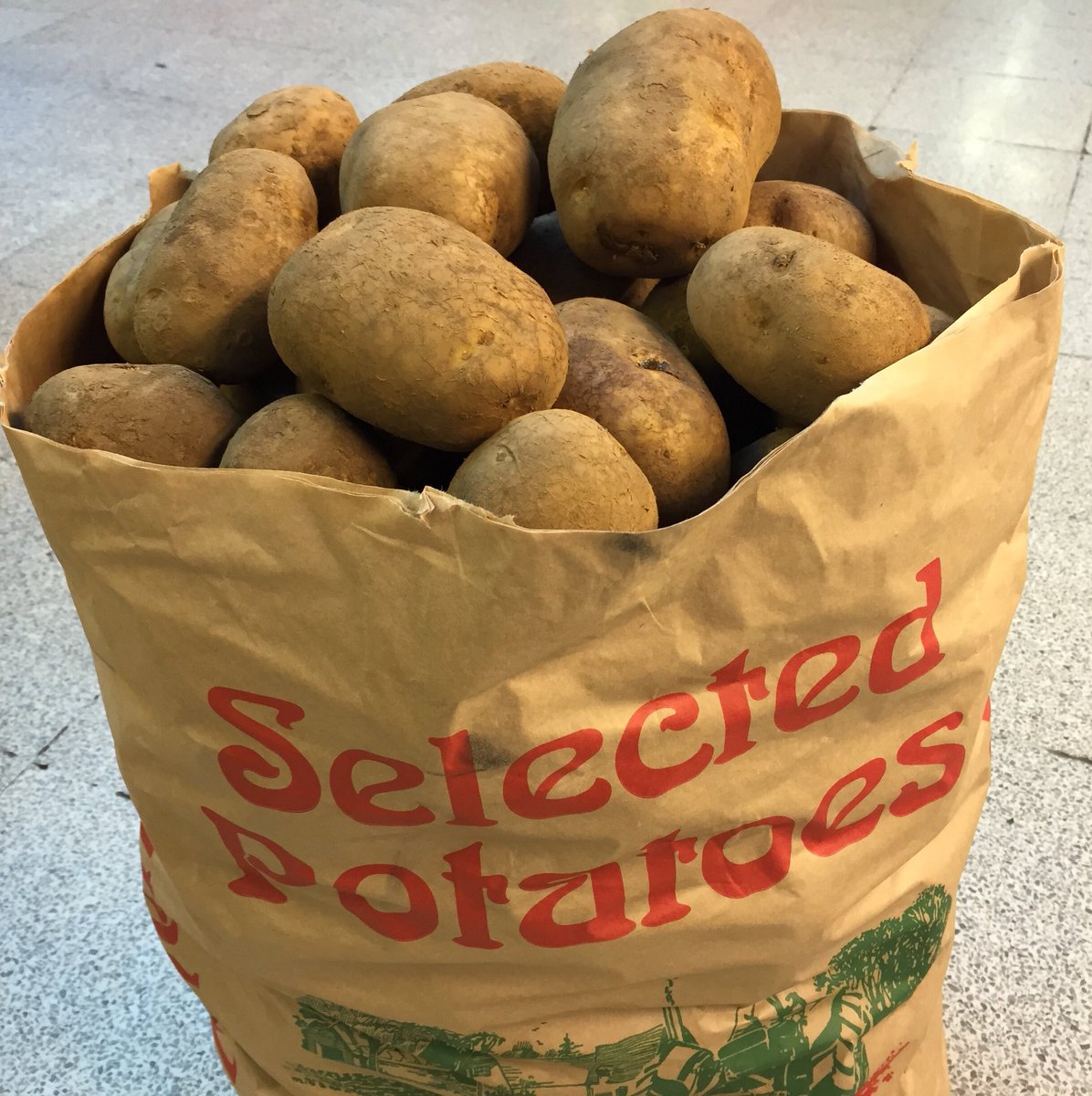 Tom_Clarke's tweet photo. Are you home cooking &amp; find shop shelves bare?
FORGET PASTA!
Buy sacks of potatoes direct from Farmers!
Fish &amp; Chip shops have shut all over the country &amp; potato prices fell £100/t in 1 day. There's now a huge glut of these nutritious beauties in farm stores all over East Anglia https://t.co/HM2KSeuzsk