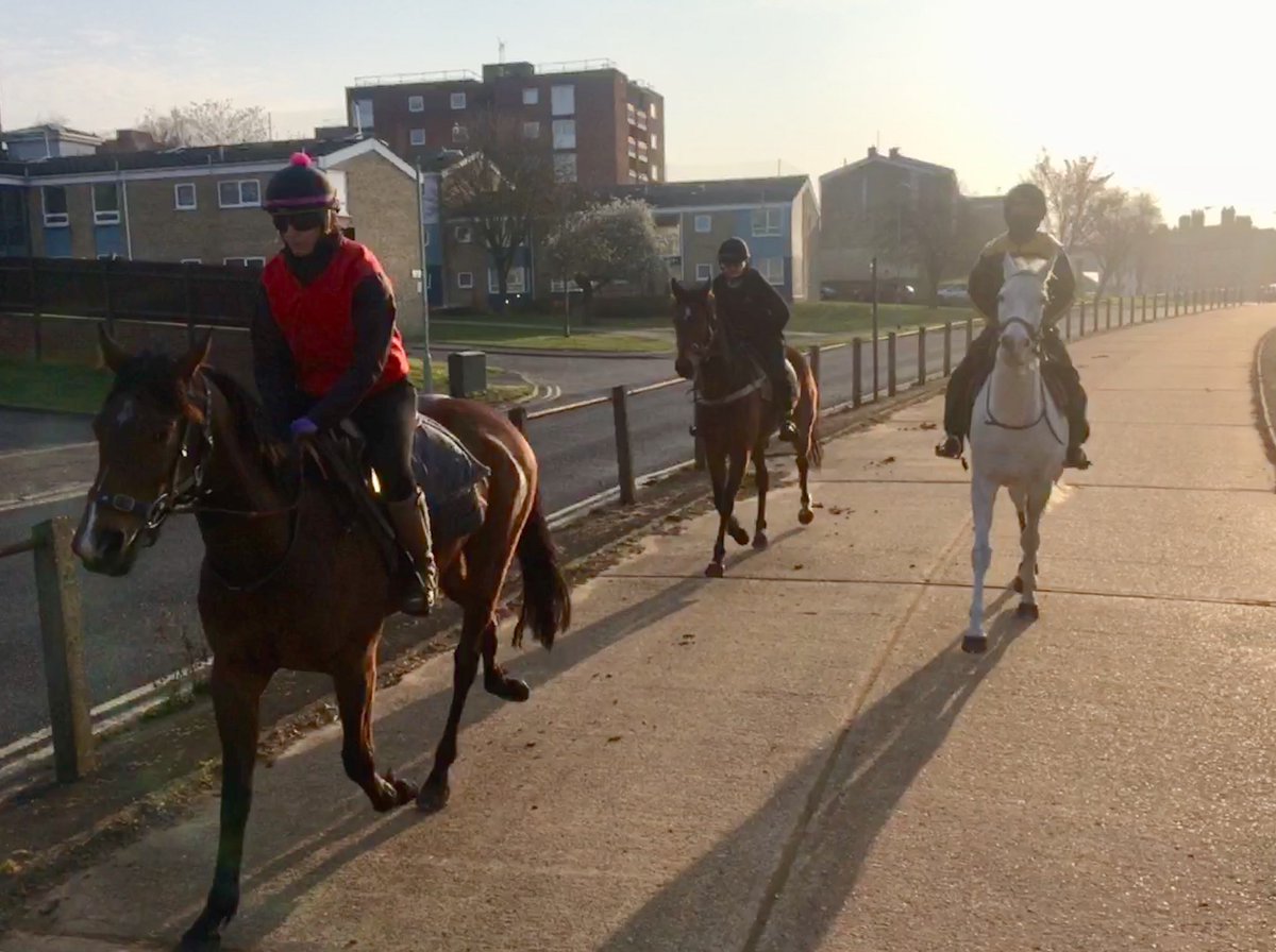 JohnWathenBerry's tweet photo. No frost this morning but still a bright, clear, sunny start to the day in Newmarket. Sadly, the sky had clouded over by 8.00 a.m. and we have a cold north-easterly wind. The lovely weather we have had through the week has gone for a while #FreeBird #SacredSprite @Roy__Rocket https://t.co/0eJnitC4k9