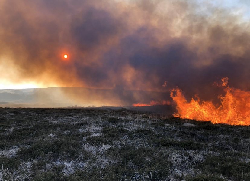 ⚠️ <a href="/CornwallFRS/">Cornwall Fire and Rescue Service</a> are asking land managers and owners to NOT undertake prescribed or controlled 🔥 unless absolutely necessary to minimise wildfires. PLEASE help us whilst we deal with the additional pressures and challenges associated with the current #Covid_19 pandemic. ⚠️