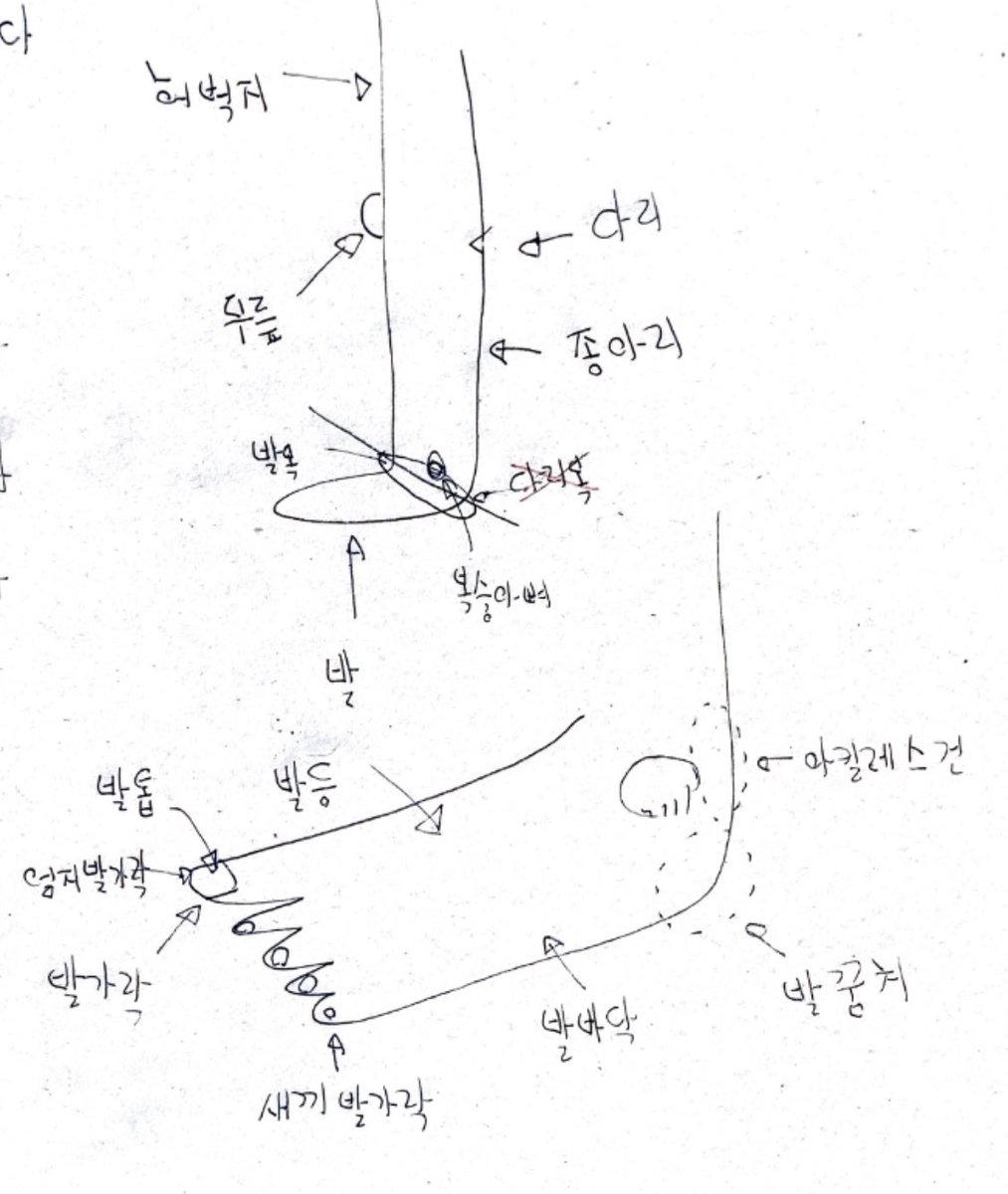 韓国語絵 韓国語絵