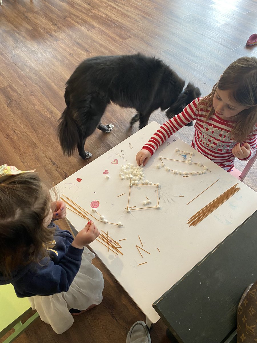 MrsLavelleEV's tweet photo. Day 6 & 7 log: We rode bikes to take pictures under a beautiful Magnolia Tree and built structures with marshmallows and spaghetti. The 2 year old lost interest quick and just ate the marshmallows. 😂#weloveeastvincent #justkeepteaching https://t.co/othlFvMaYE