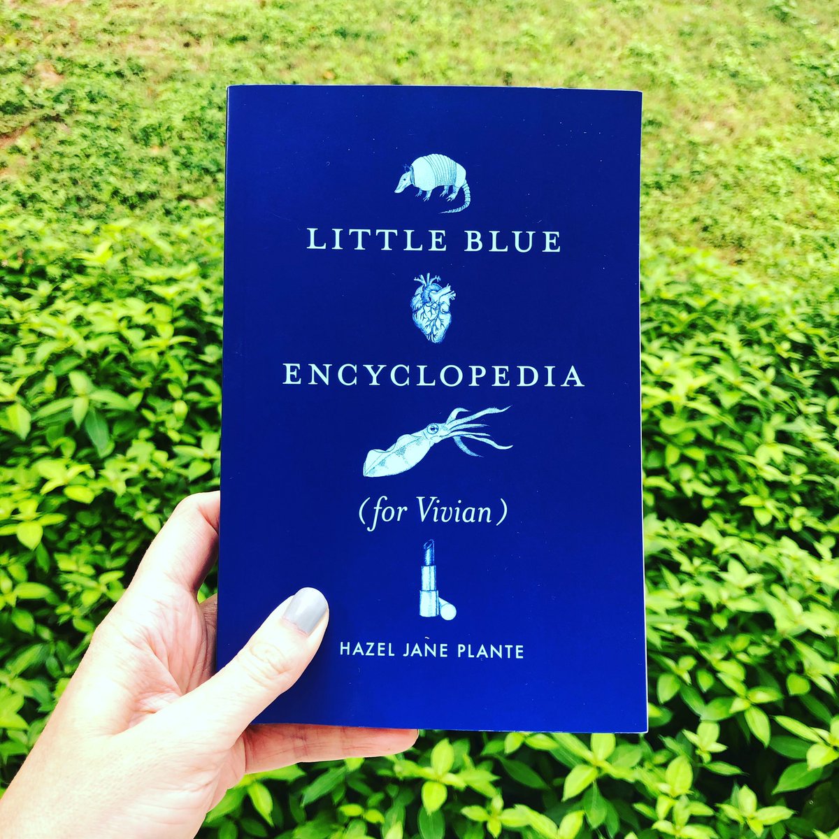 29/52Little Blue Encyclopedia (for Vivian) by Hazel Jane Plante. ... #52booksin52weeks  #2020books  #booksof2020  #pandemicreading