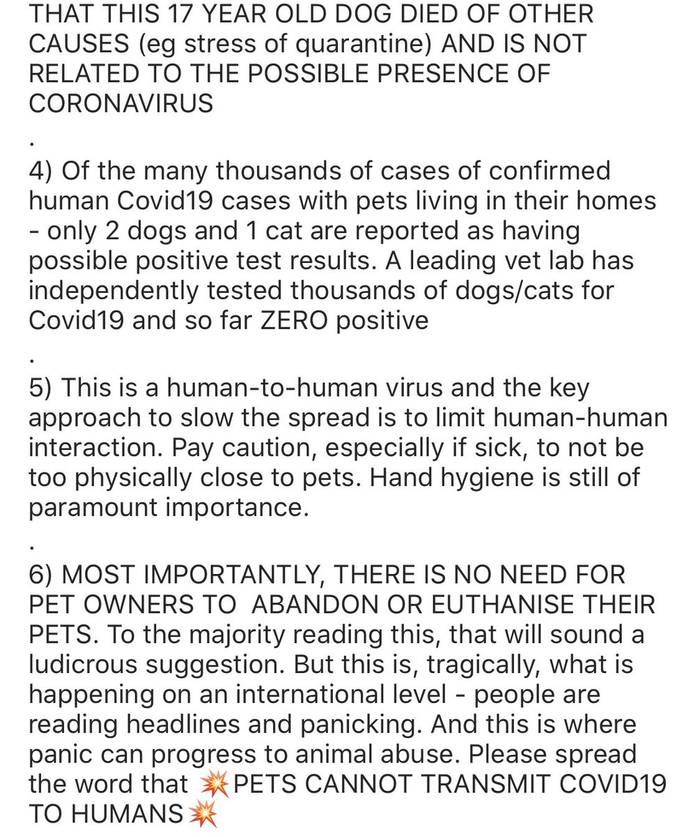 drjgreenwood's tweet photo. A vets take on #COVID19 for pet owners as one cat possibly tests positive in Belgium for coronavirus after owner confirmed sick with Covid19 .... https://t.co/BLDL0F3tM1