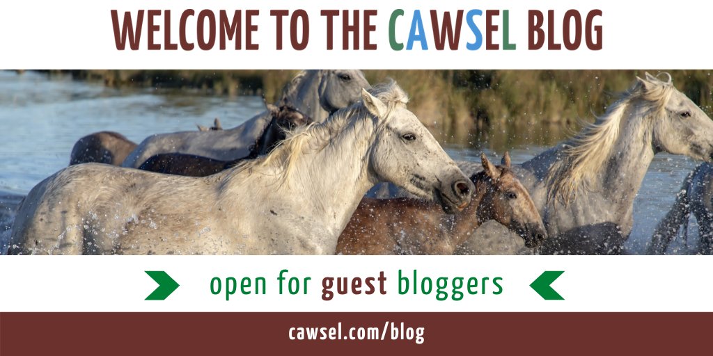 CAWSEL1's tweet photo. Over on #CAWSEL website, you can access plenty of #animalwelfare blogs from our lecturers, attendees &amp; contributors - great reads in times of social isolation :) and if interested in becoming a guest blogger, just let us know!  
https://t.co/UmJS4jikTj https://t.co/7BaqvPWH0e