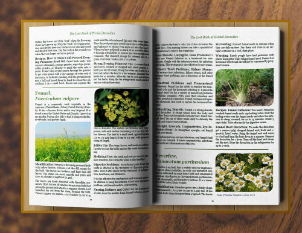 All the Medicinal Plants of North America! There's a HUGE RUSH to buy this book right now as people are preparing their PANDEMIC SUPPLIES: bit.ly/coronavirus-pa…
