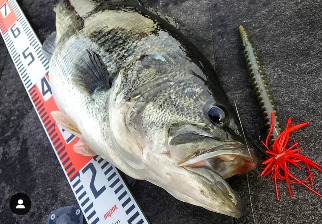 アトリエループクロニクル検デプスイマカツボトムアップレイドジャパン