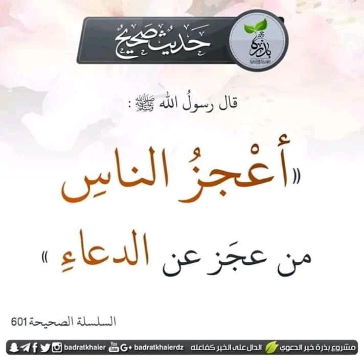 wiwithp's tweet photo. Rasulullah shallallahu alaihi wa sallam bersabda (yg artinya)

"Manusia yg paling lemah adalah yg paling lemah dalam berdoa"

Silsilah Sahihah, 601 https://t.co/23H3EByd2J