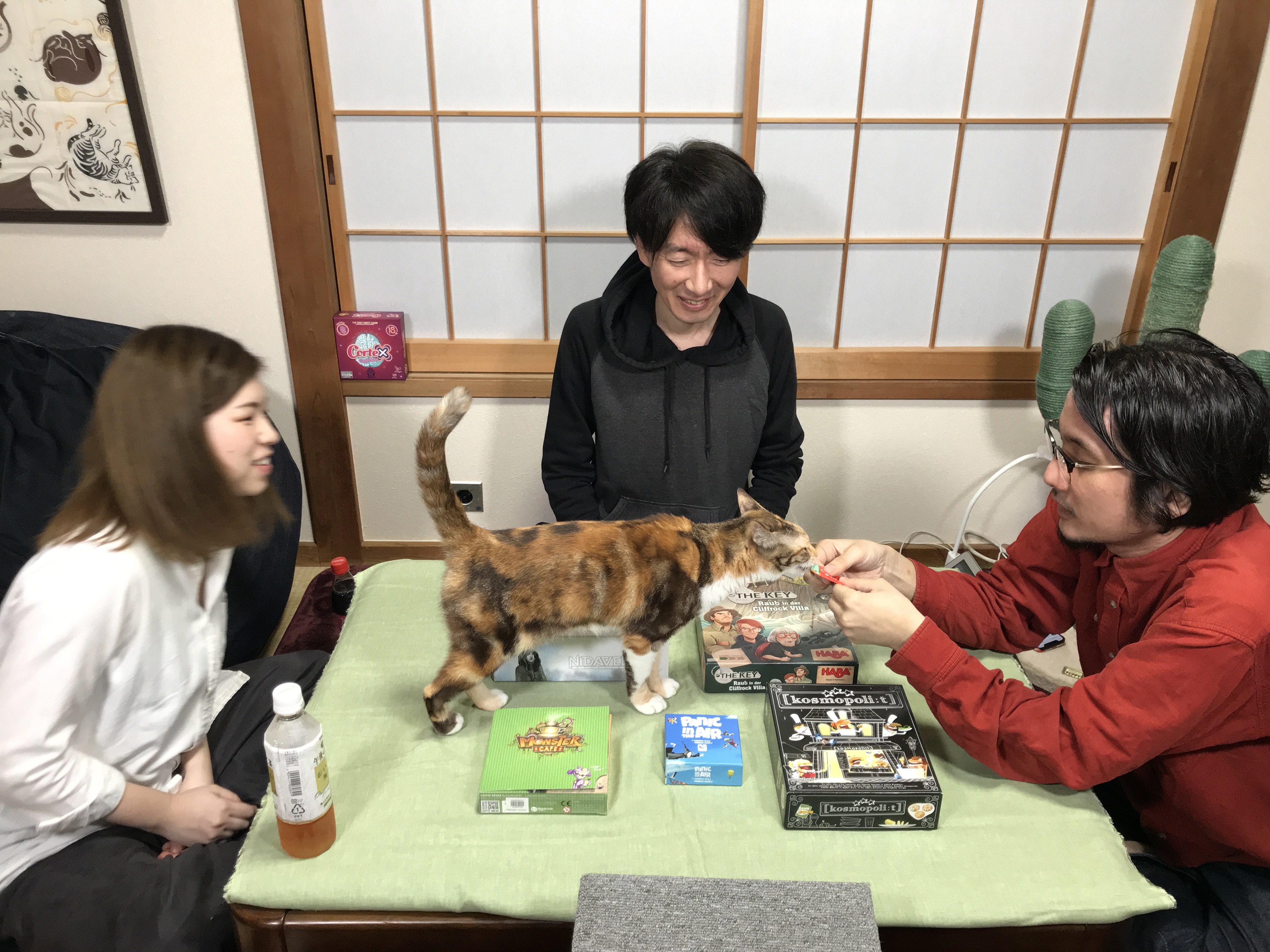 すごろくや ご試聴ありがとうございました ネコも現る おうちで今後発売の超新作ボードゲーム5タイトルをゆったり紹介 T Co 7qu528m7t6 パラシュートパニック コスモポリート モンスターカフェ ニダヴェリア ザ キー 岩崖別荘での