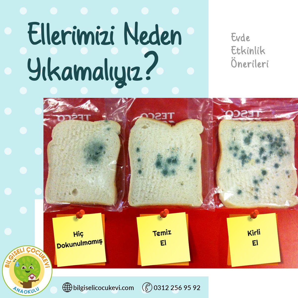 Kirli olan torbaya koyacağınız ekmeğe kirli ellerinizle dokunun. Temiz ellerinizle diğer dilime dokunun ve torbaya koyun. Son kalan dilime kimseye dokunmadan torbaya koyun. Ekmeklerdeki oluşan küf ile neden ellerimizi yıkamamız gerektiğini çocuklarınıza gösterebilirsiniz. 🤗