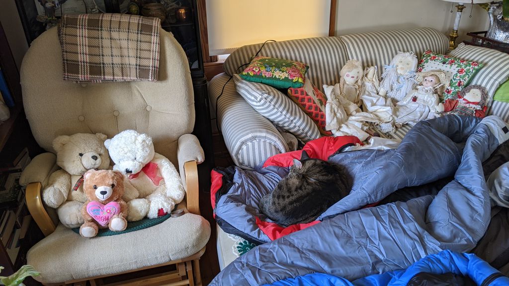 FromTheMystery's tweet image. #WhatIAmLearningInQuarantine &quot;Spiritual Retreat&quot; buff.ly/39pKrcP #Caturday