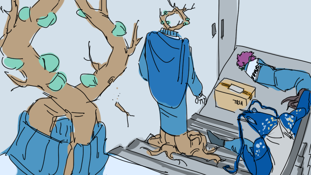 뭔가 보여드리겠습니다(담비종특 쿠소짤트레 시작하겠다는뜻)