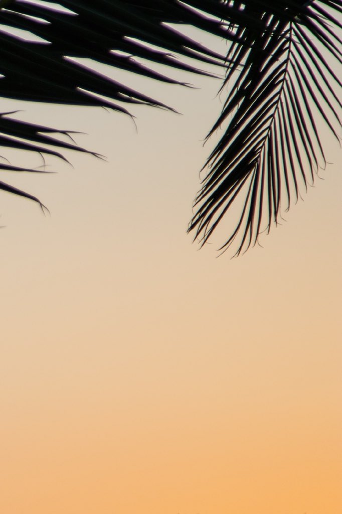 ImmyPhotography's tweet photo. Finding old photos in my galleries #silhouettephotography #sunset https://t.co/EOhyFe2meg
