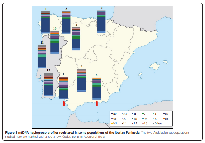 Human maternal heritage in Andalusia (Spain): its composition reveals high internal complexity and distinctive influences of mtDNA haplogroups U6 and L in the western and eastern side of region https://bmcgenet.biomedcentral.com/articles/10.1186/1471-2156-15-11