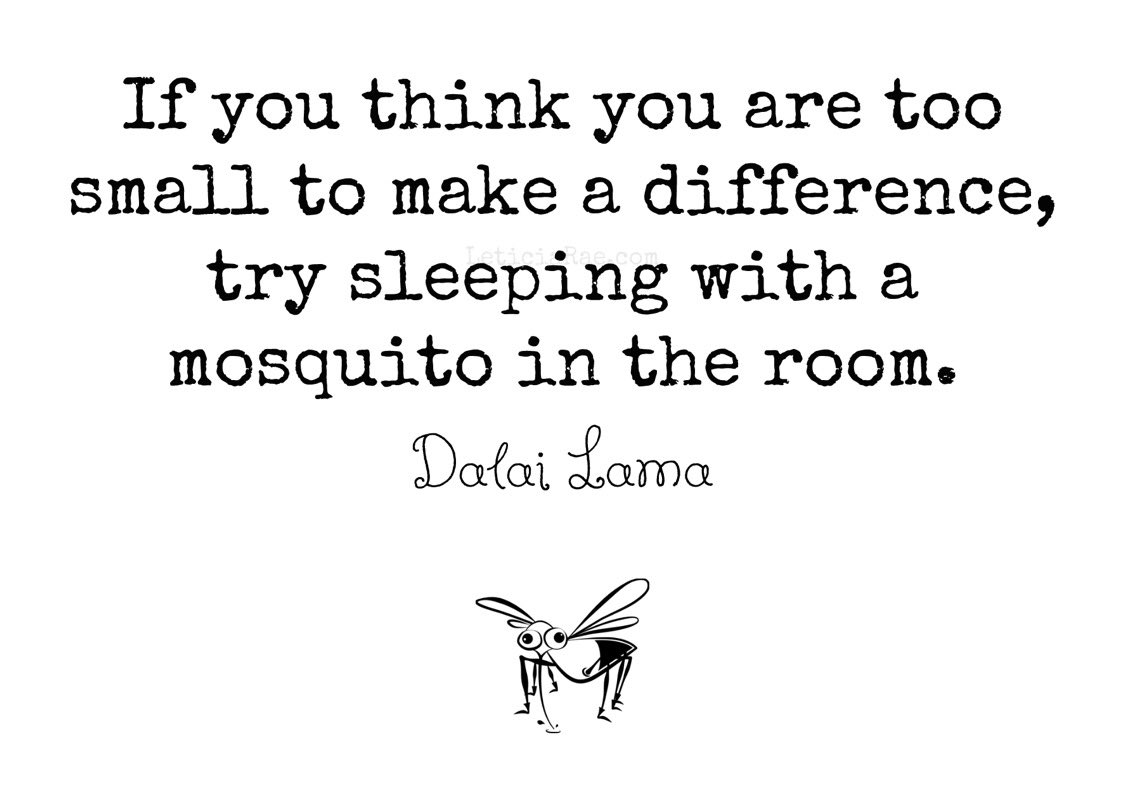 Ruthie Fort 🇮🇪🏳️‍🌈 tweet media