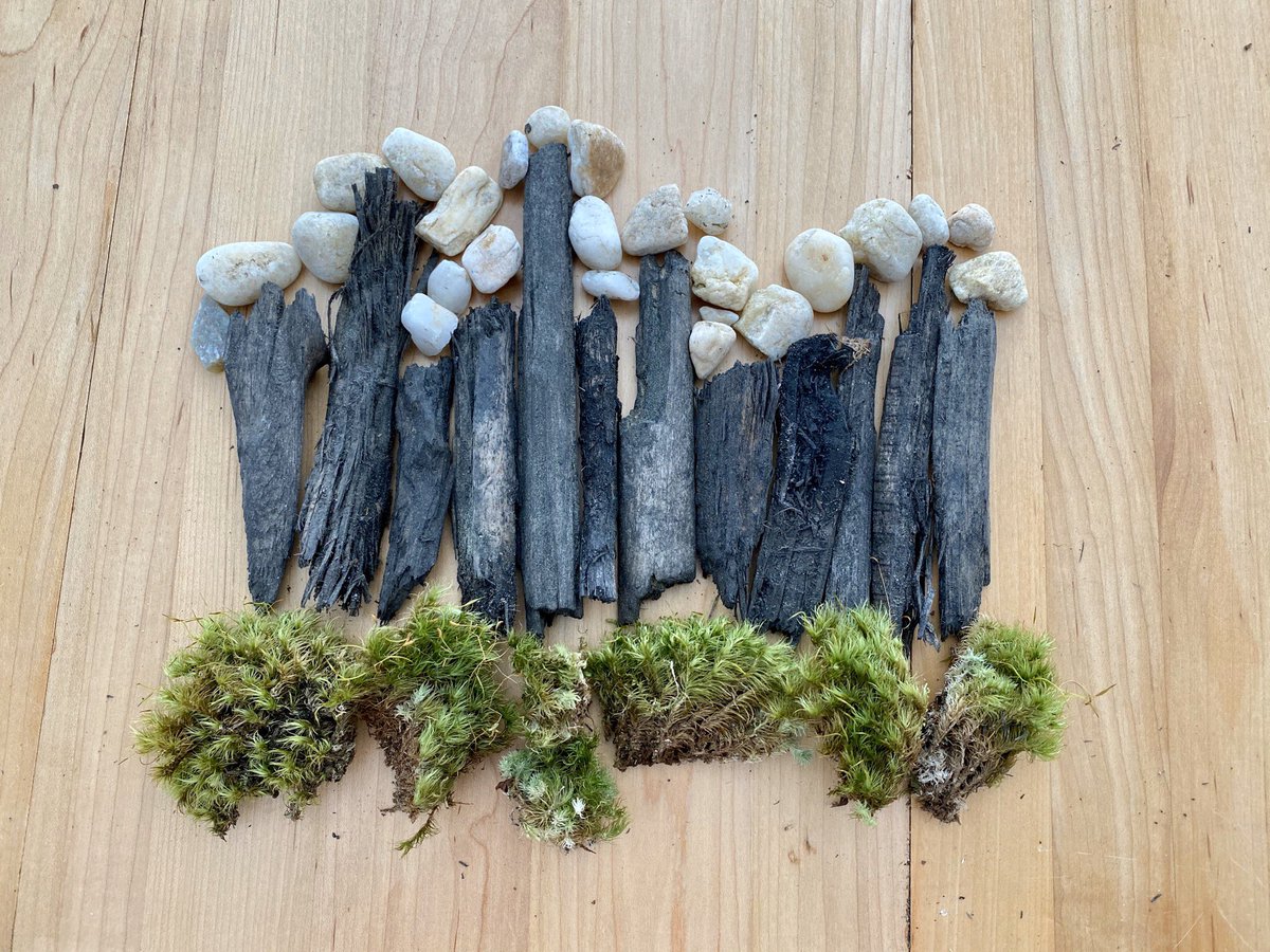 FreyFlamesART's tweet photo. Had fun this morning foraging for objects to create examples for a new “at home” art activity! I may have cheated &amp; brought it inside (too breezy and whoa pollen!), but my cats seemed to enjoy “helping” me. 😹🍃🍁#landart #symmetry #gnome #whimsical #achoo #keeparting @FreyFlames https://t.co/j1NYf7qZv3