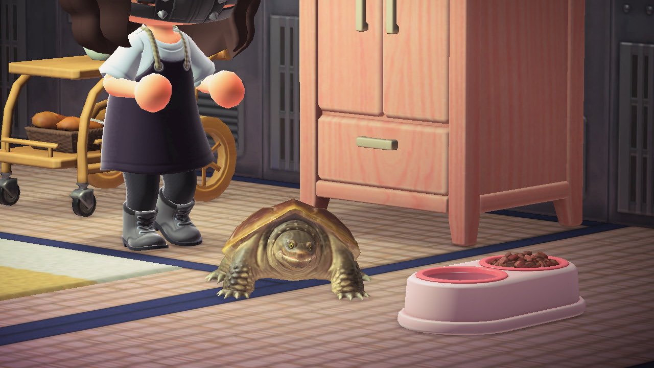 it unnerves me that everything in animal crossing is cartoony and then we  just have this f----- hyper realistic turtle, Animal Crossing: New  Horizons