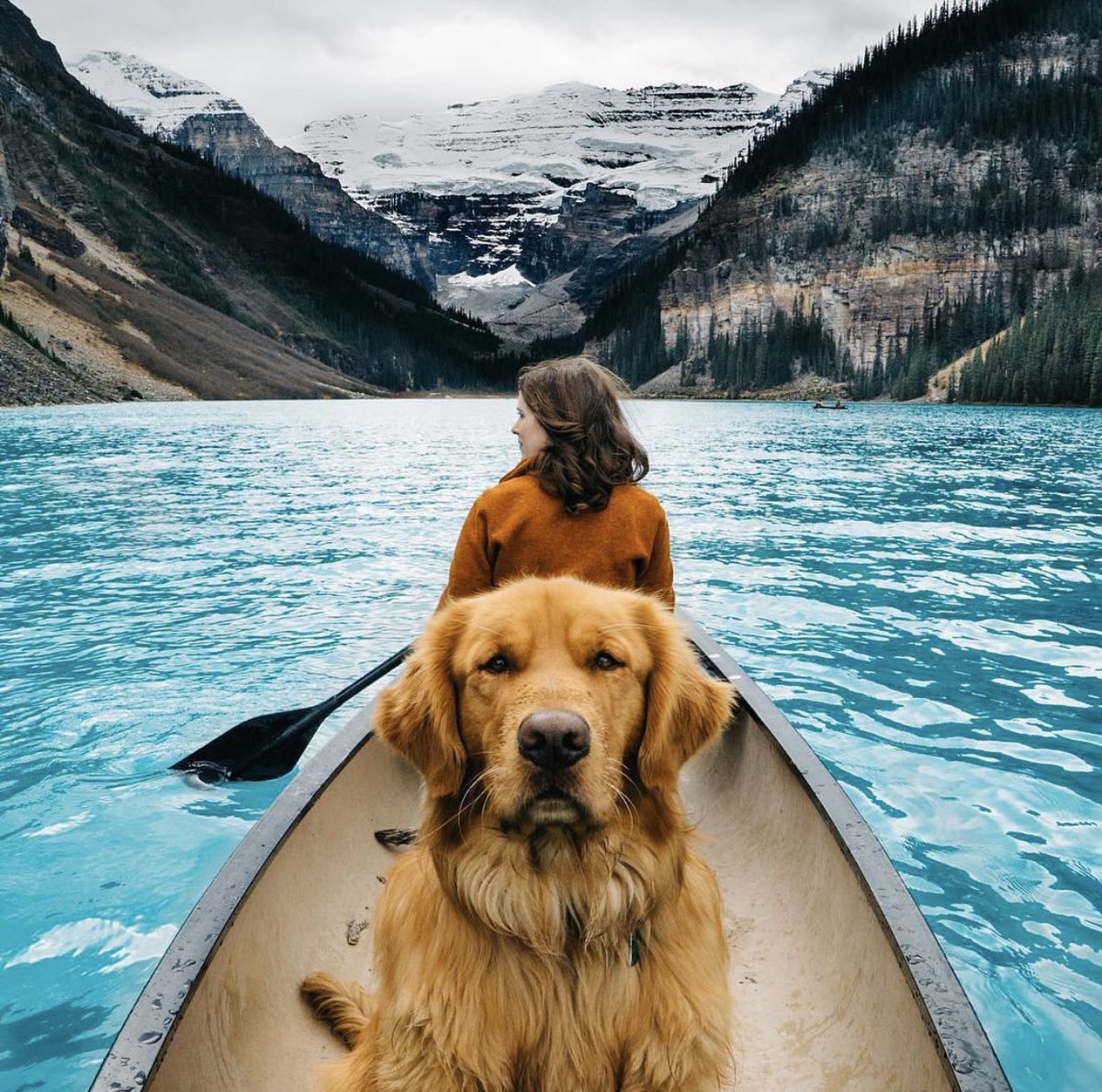 Tabula_App's tweet photo. Choose your Adventure Buddy Wisely...
#travel #adventure #BucketList #tabula https://t.co/1FSd4G9bH1