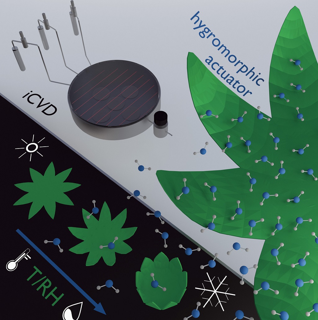 ACS_AMI's tweet photo. Smart #hydrogel films deposited on flexible substrates. Ultrafast response to temperature and humidity makes them particularly applicable to sensor/actuator setups and biosetups https://t.co/CQyJC7UDuC #SmartPolymers #ThinFilm #Sensors https://t.co/MIULQztZPN