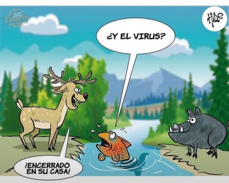 Diana Verduzco tweet media