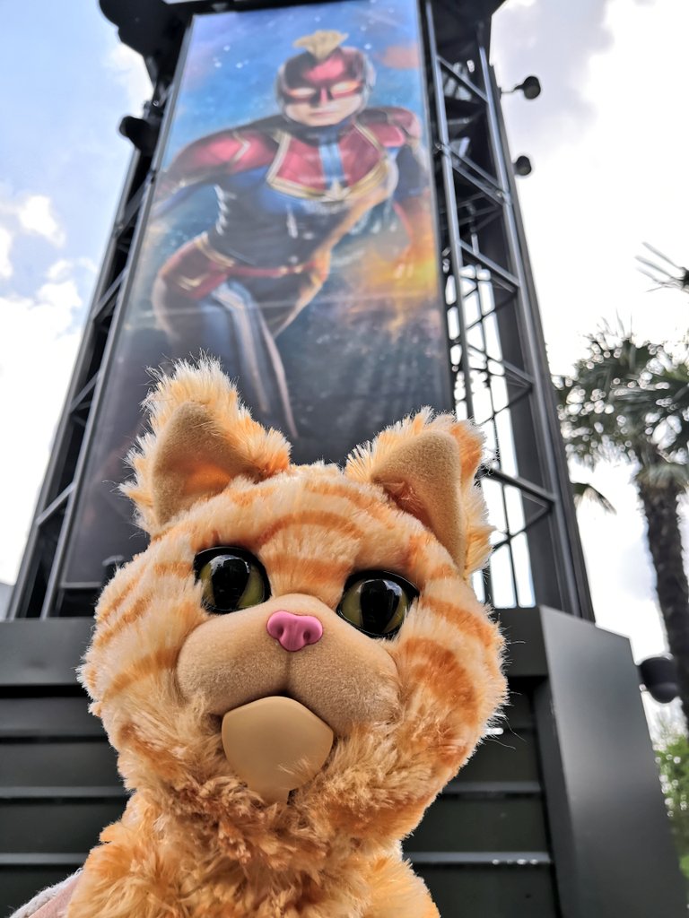 InsideDlpCastle's tweet photo. L'année dernière nous étions avec Goose pour rencontrer.. Captain Marvel ! 🐱
#DisneylandParis #DLP #studiohero https://t.co/Y5PKolx28P