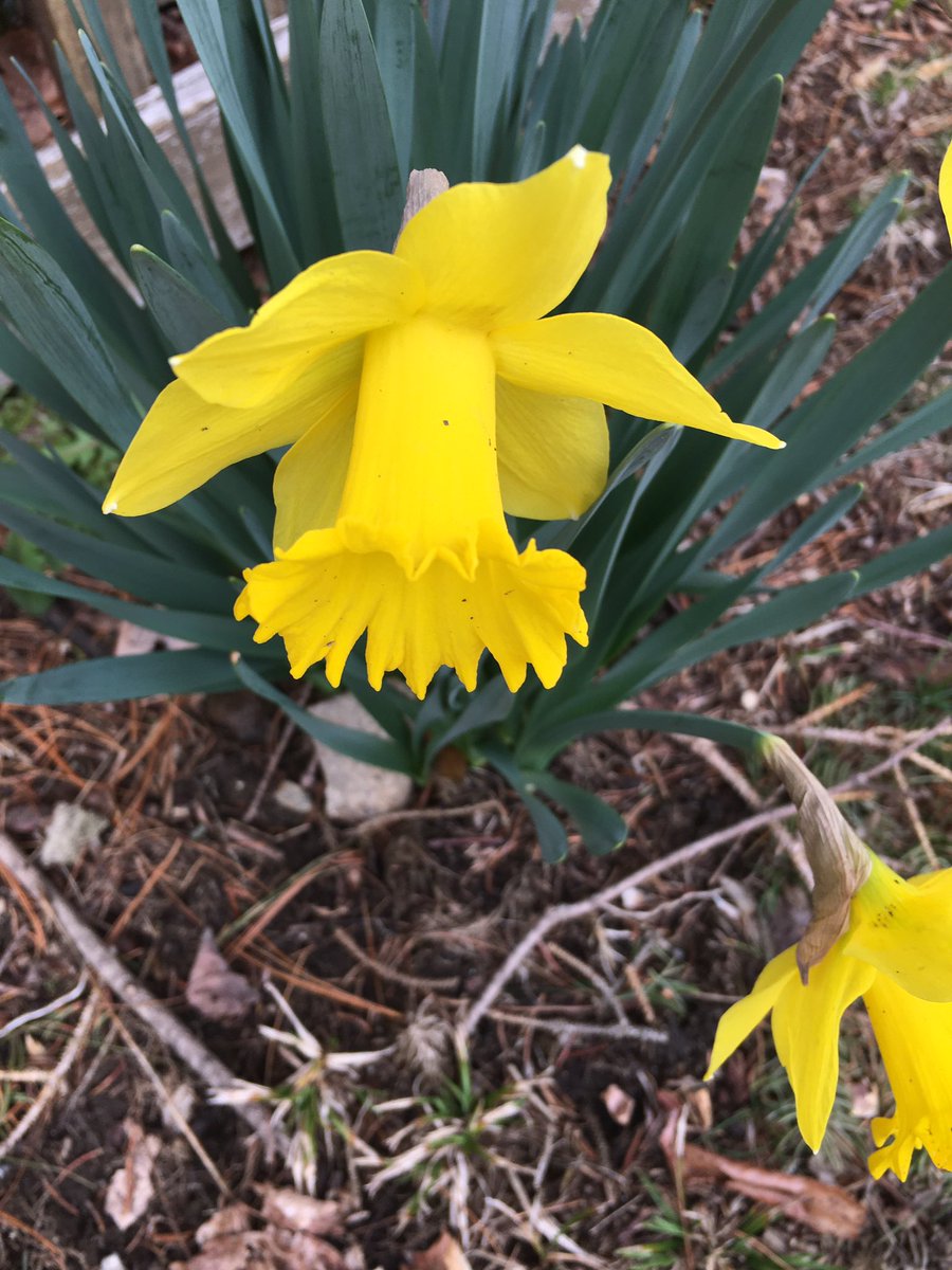 Much to always celebrate on our daily Genesis walks. <a href="/WPSWeStillCan/">WPS We Still Can</a>