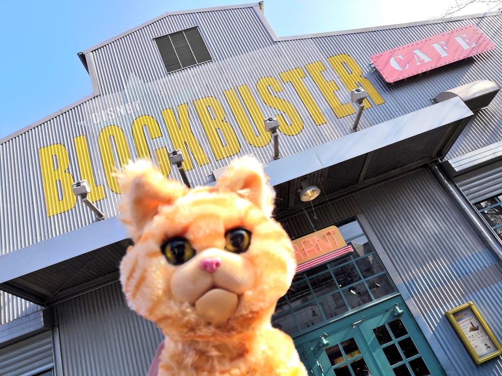 InsideDlpCastle's tweet photo. L'année dernière nous étions avec Goose pour rencontrer.. Captain Marvel ! 🐱
#DisneylandParis #DLP #studiohero https://t.co/Y5PKolx28P