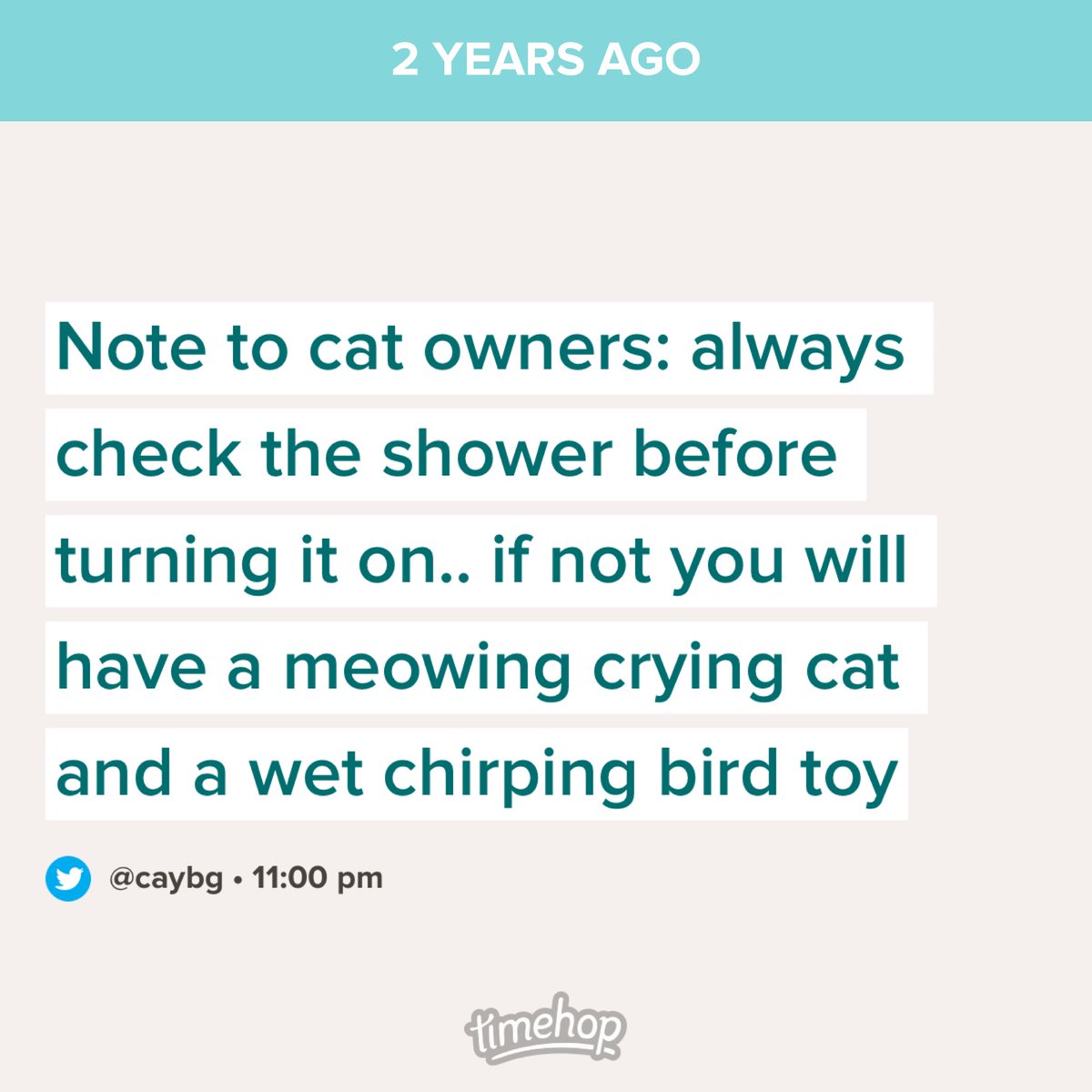 caybg's tweet photo. Update: He has not learned his lesson because he still puts his toys in the shower https://t.co/W2vmbDrs3G