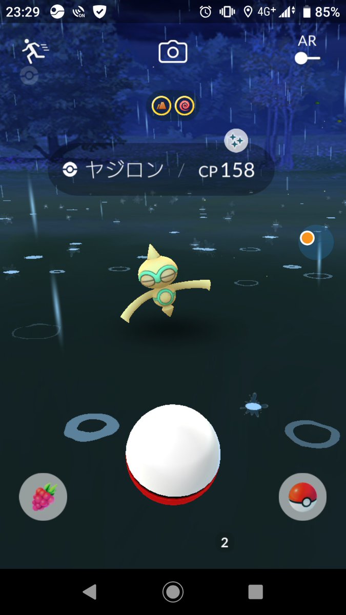 夜のポケ活